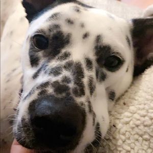 Meet your Posher, Chloe